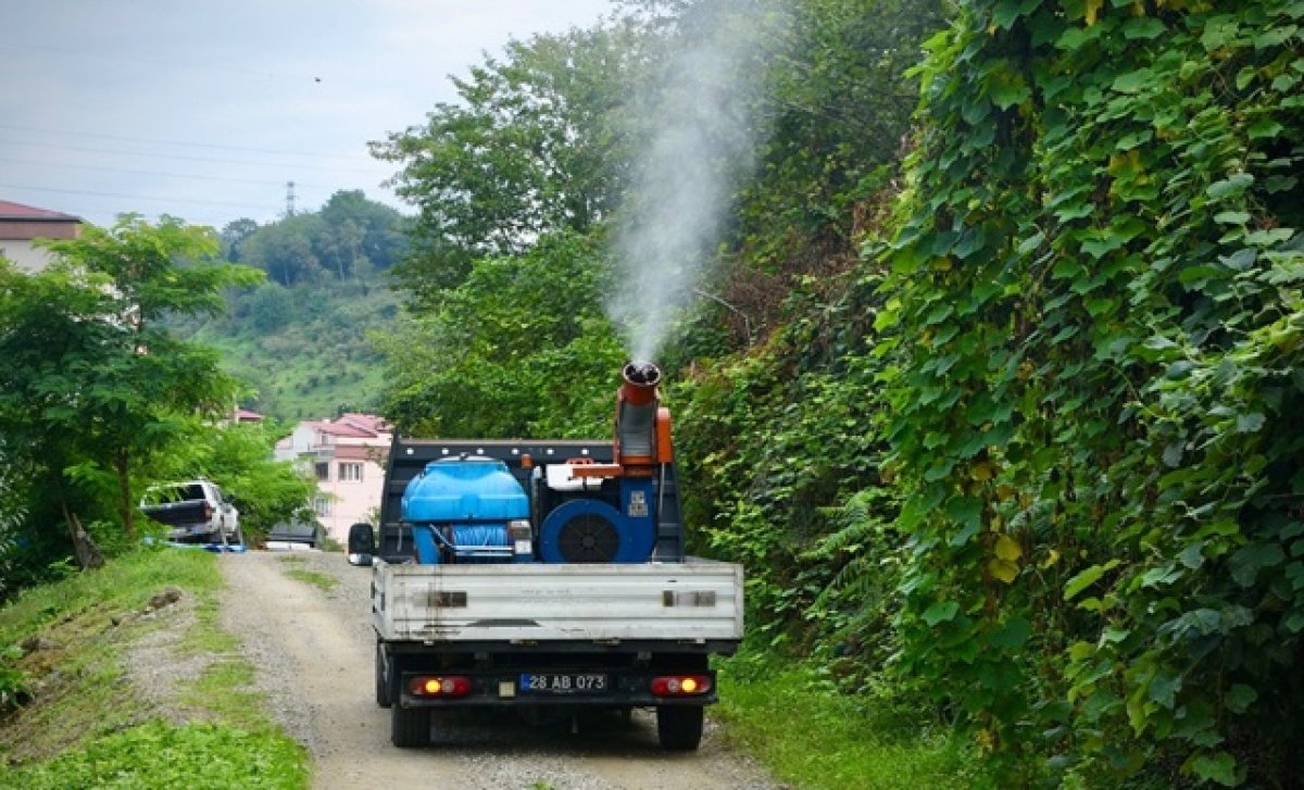 Giresun Belediyesi, İlaçlama Çalışmaları Devam Ediyor
