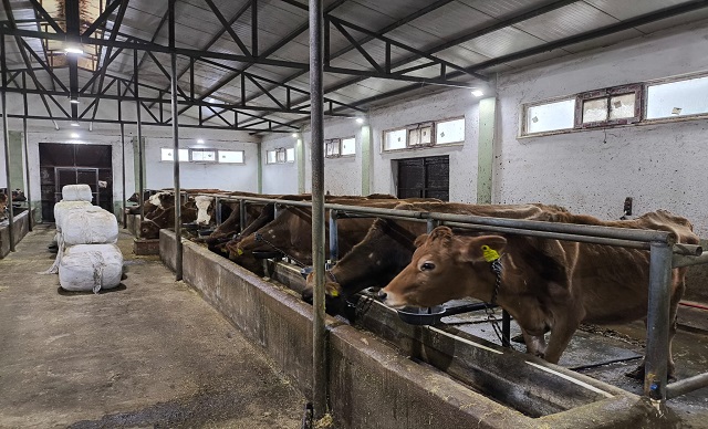 Giresun'da Hastalıktan Ari İşletmeler Çoğalıyor