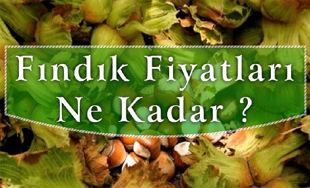 Fındık Fiyatları ''yine aynı hikaye''