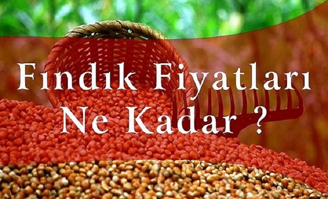 Fındık Fiyatı Ne Kadar